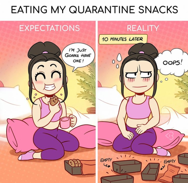 expectations-vs-reality-during-quarantine