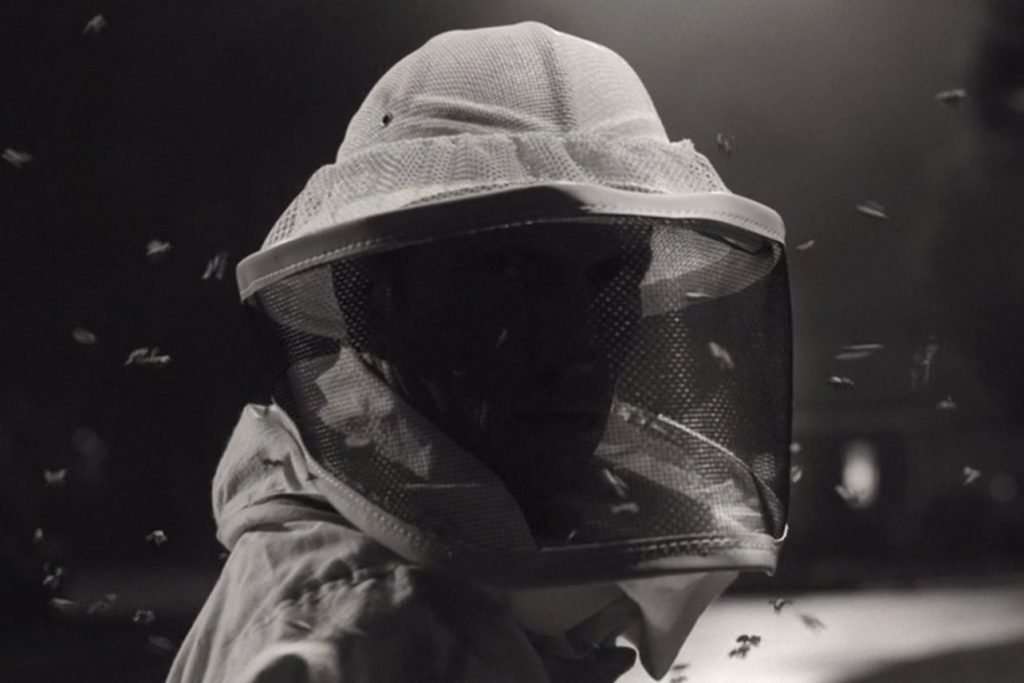 beekeeper-wandavision.jpg