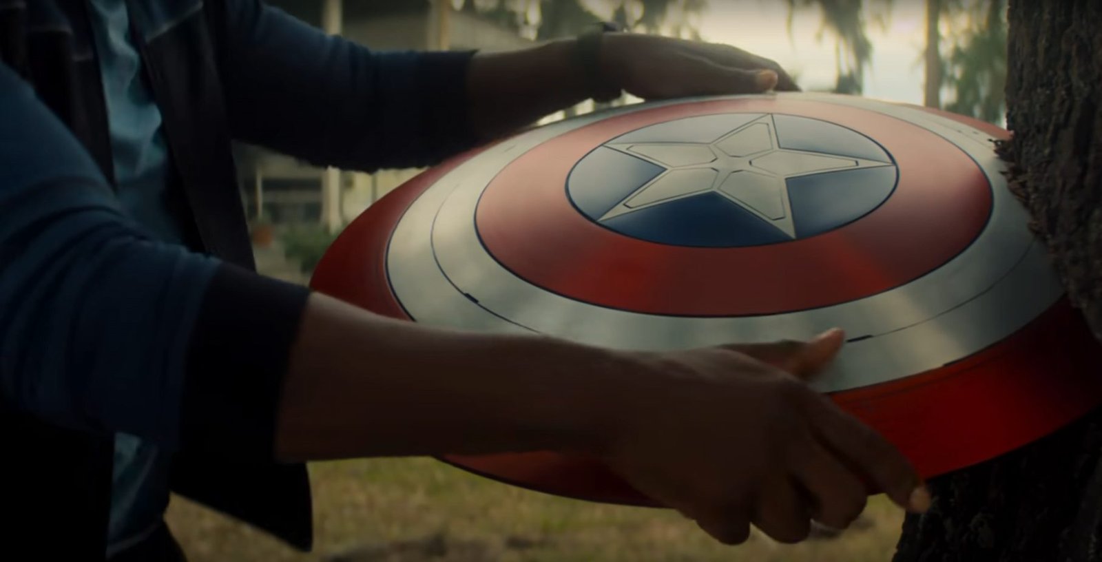 Falcon-and-captain-america-shield.png