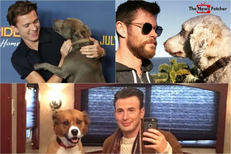 #InternationalDogDay- Let us delve into Dogs of our Marvel cast!