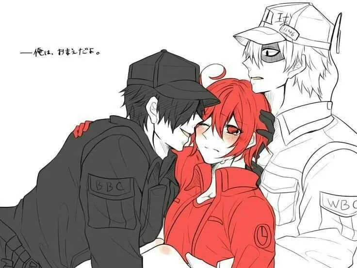 Hataraku Saibou Season 3: All you need to know about its release date and plot