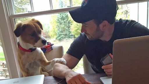 Chris Evans and Dodger