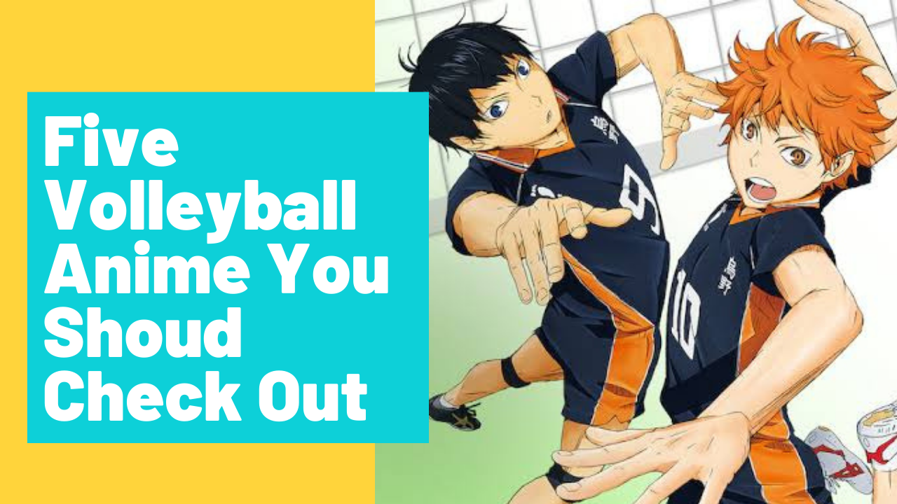 Volleyball Anime  AnimePlanet