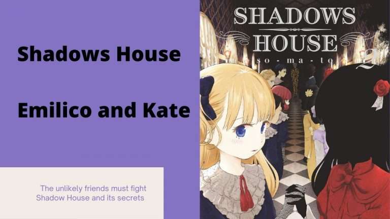 Why is Emilico and Kate a special duo? Shadows House