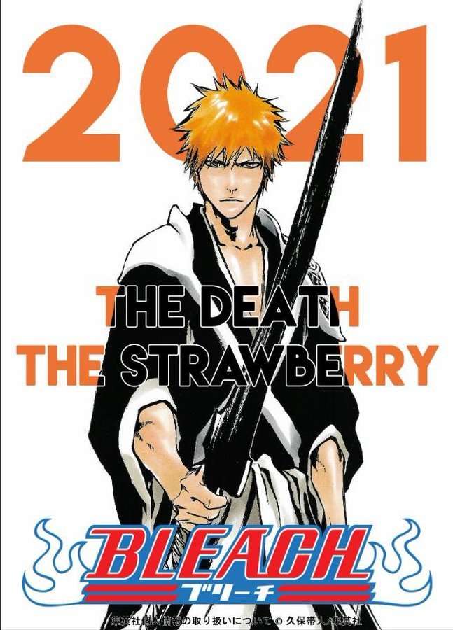 Bleach Special Manga Chapter
