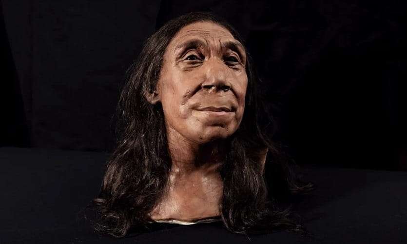 the secrets of neanderthals